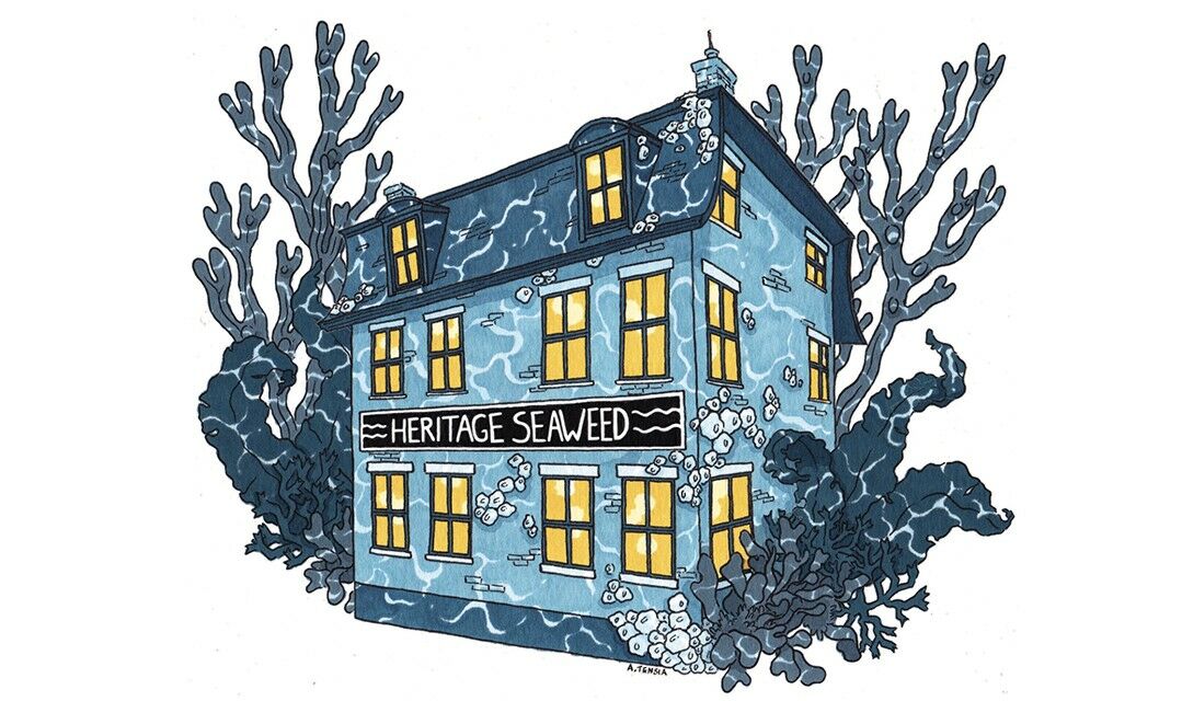 Heritage Seaweed in Portland, Maine