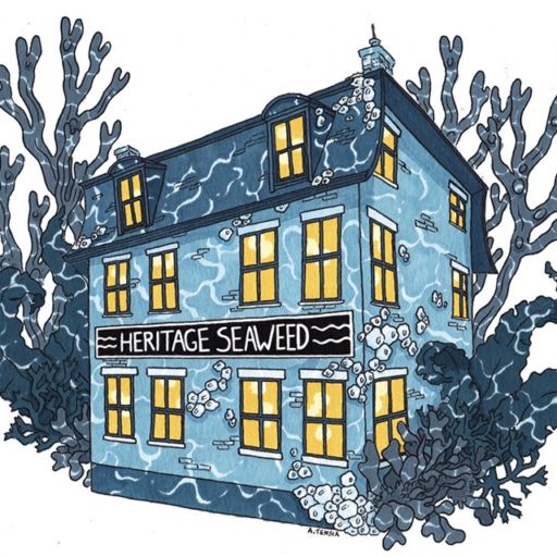 Heritage Seaweed in Portland, Maine