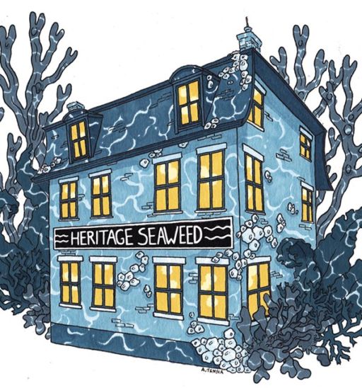 Heritage Seaweed in Portland, Maine