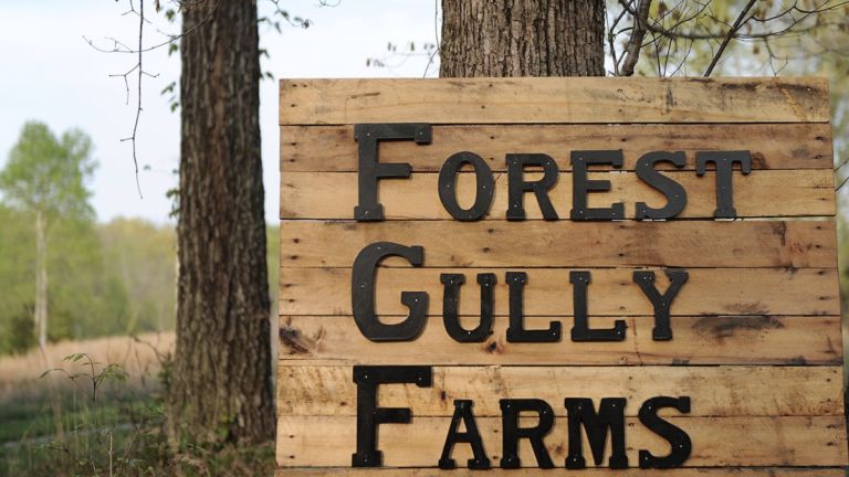 Forest Gully Farms