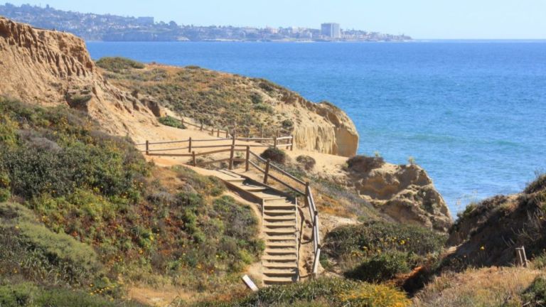 Torrey Pines