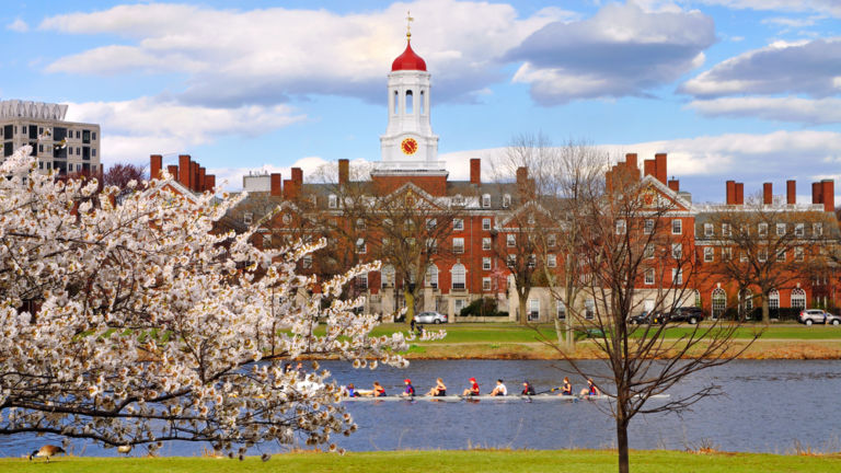 Harvard University in the spring