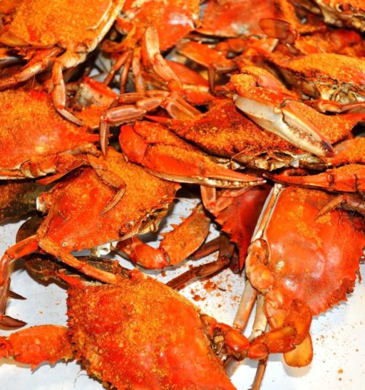Best of Baltimore, Maryland - Maryland Blue Crabs