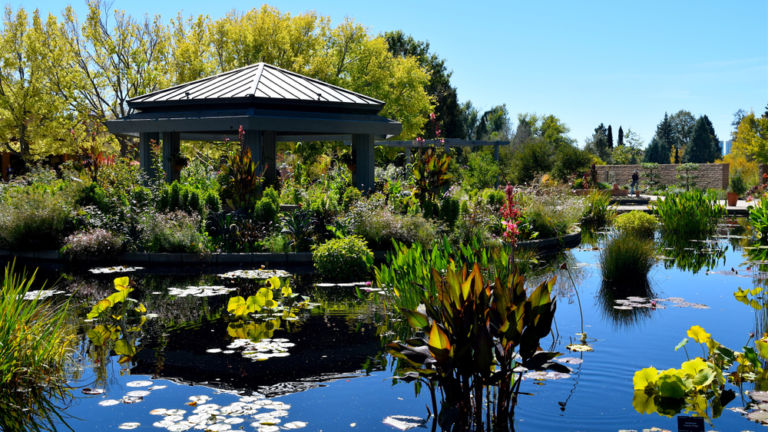 Denver Botanic Gardens. Pic via Shutterstock.