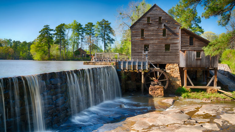 Yates Mill County Park, Raleigh. Shutterstock