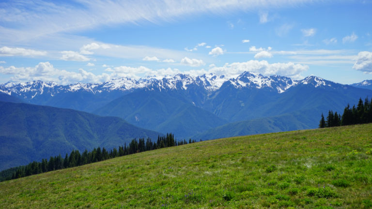 Olympic National Park, Seattle. Shutterstock