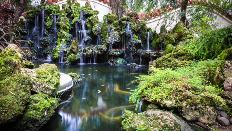 Portland Japanese Garden in Portland, OR.