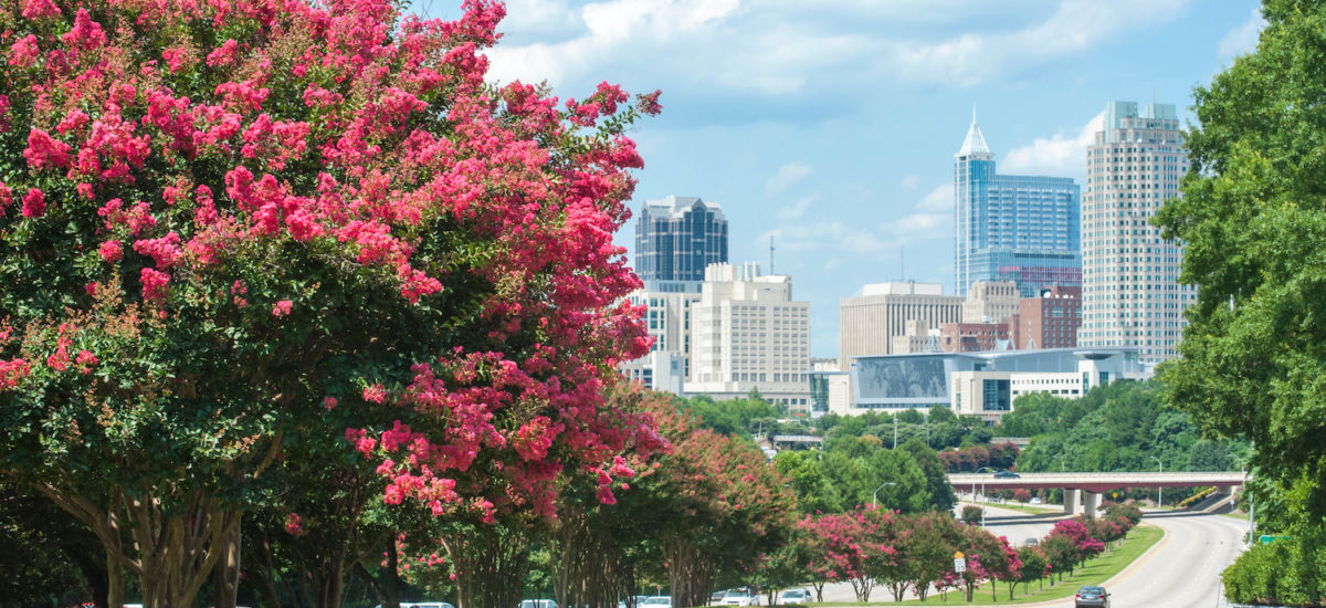 Best Things To Do In Raleigh Best Of The U S Fifty Grande