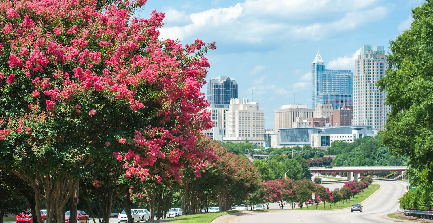 Raleigh, N.C.