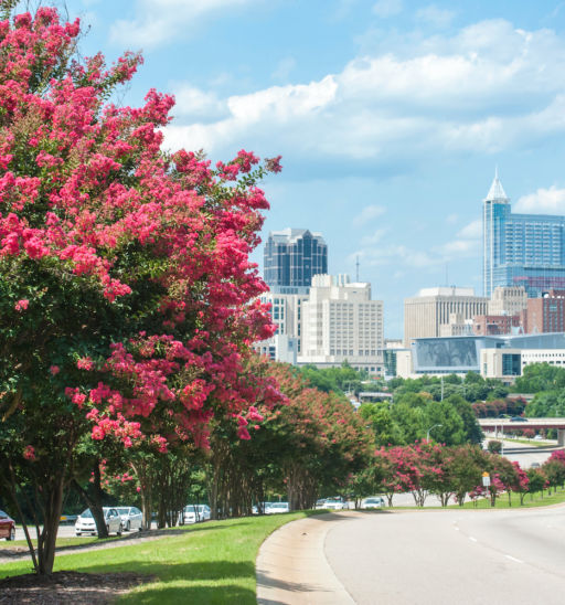 Raleigh, N.C.