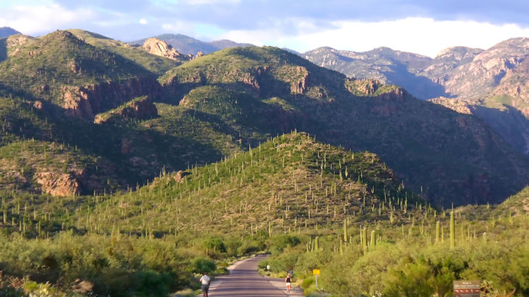 Sabino Canyon