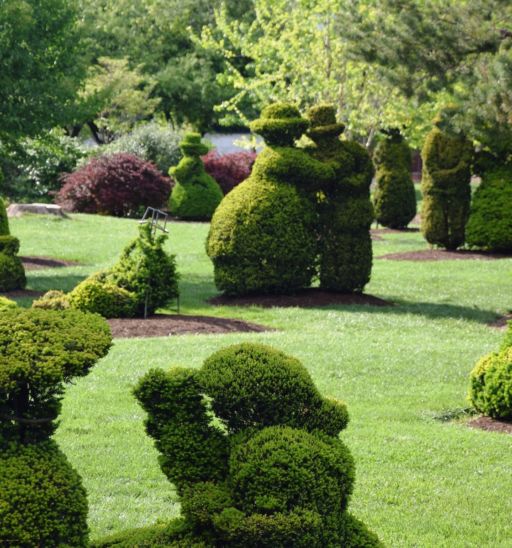 Topiary Garden