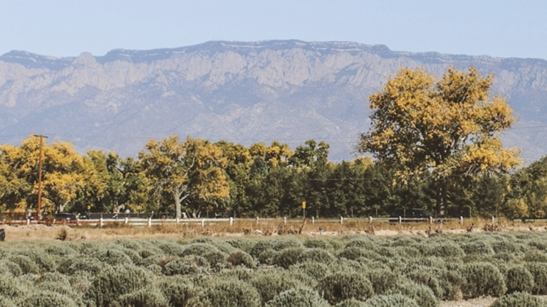 Los Poblanos Historic Inn & Organic Farm