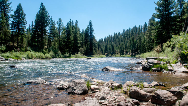 Blackfoot River, Montana. Photo credit: Shutterstock.