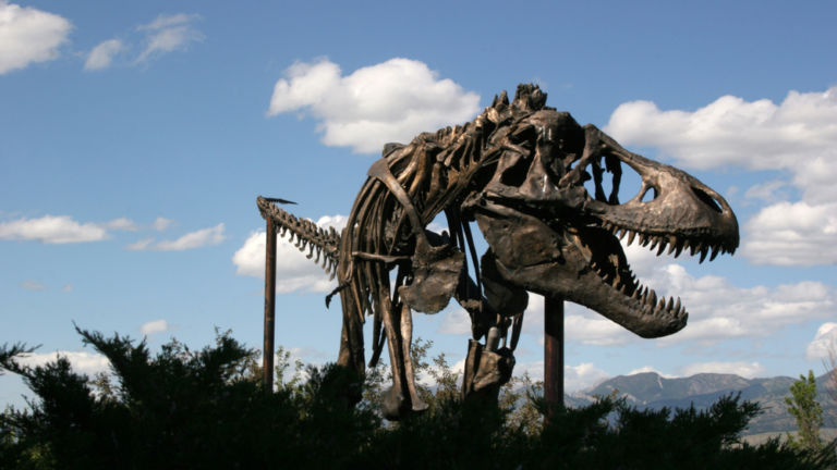 Museum of the Rockies, Montana. Photo credit: Shutterstock.