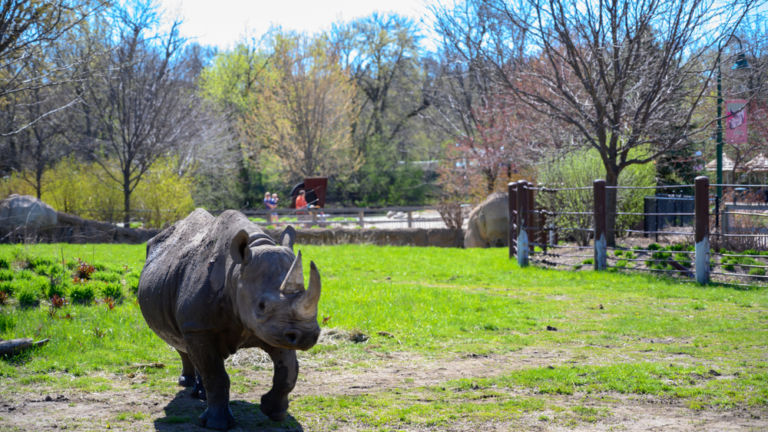 Great Plains Zoo, Sioux Falls, South Dakota. Pic via Shutterstock.