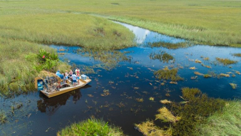 Everglades National Park. Photo credit: Shutterstock.