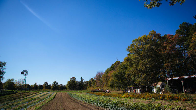 Silverton Farms