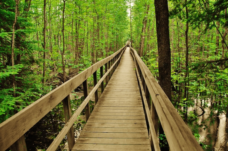 Voyageurs National Park, Minnesota. Pic via Shutterstock.