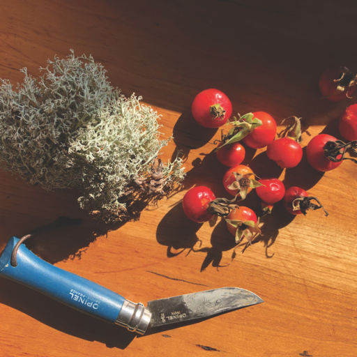 Rosehips and reindeer moss. Words and photos by Katy Severson.