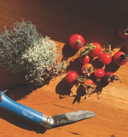 Rosehips and reindeer moss. Words and photos by Katy Severson.