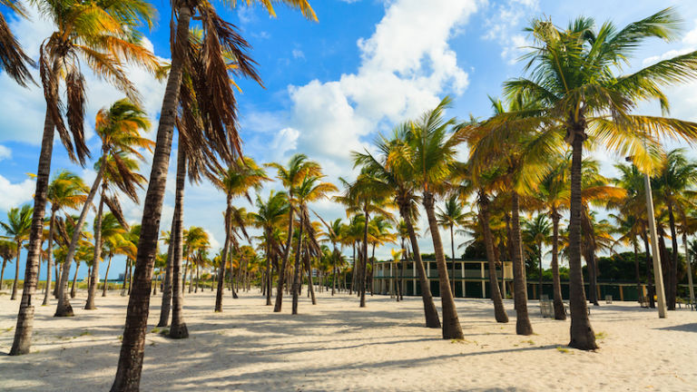 Crandon Park in Key Biscayne in Miami. Photo via Shutterstock.