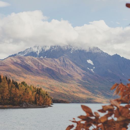 Alaska landscape. Photo by Ellen Carty.