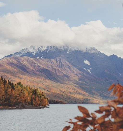 Alaska landscape. Photo by Ellen Carty.