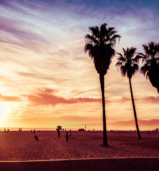 Venice Beach, Calif. Photo via Shutterstock.