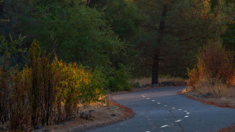 The American River Parkway in Sacramento, Calif.