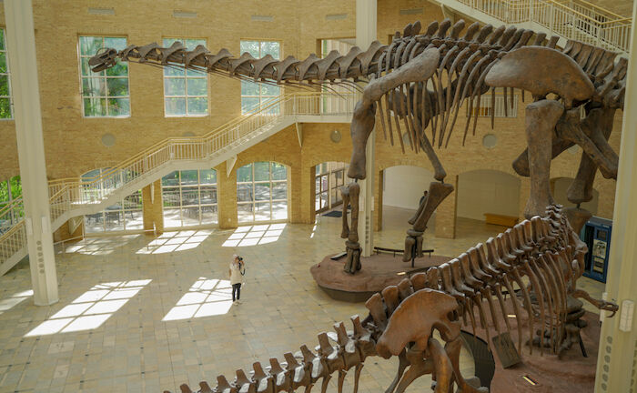 Fernbank Museum of Natural History in Atlanta. Photo by Shutterstock.