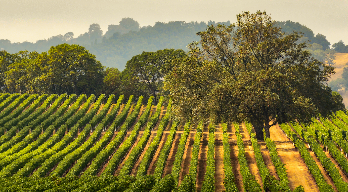 Sonoma County. Photo via Shutterstock.