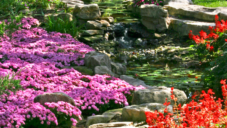 Botanica, the Wichita Gardens, in Wichita, Kansas. Photo via Shutterstock.