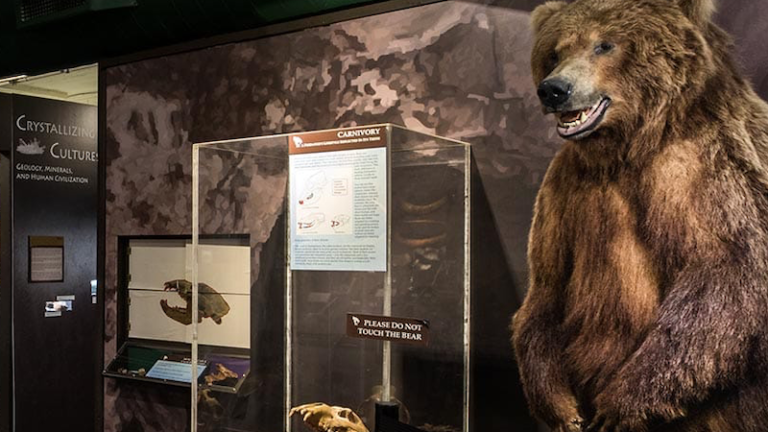 The Museum of World Treasures in Wichita, Kansas.