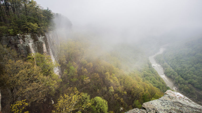 View of the New River Gorge from the Endless Wall Trail in Fayetteville, West Virginia.