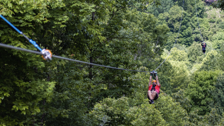 Gravity Ziplines