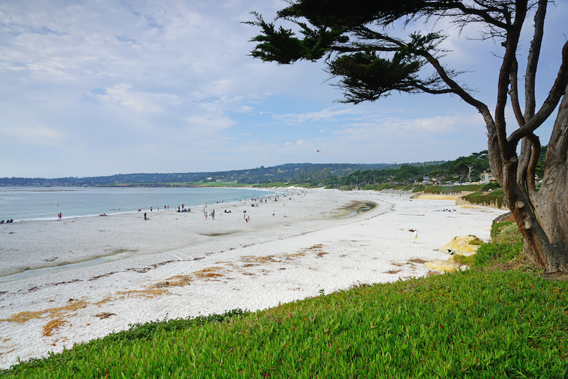 Best Beaches in America: View of the Carmel Beach, a beach on the Pacific Ocean in Carmel-by-the-Sea, Calif. Photo by Shutterstock.