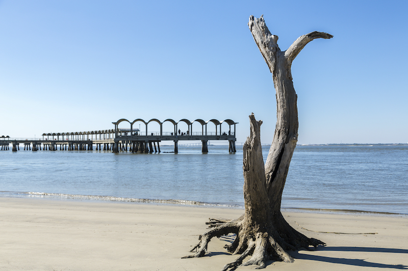 Driftwood beach, Jekyll Island, GA. Photo by Shutterstock.