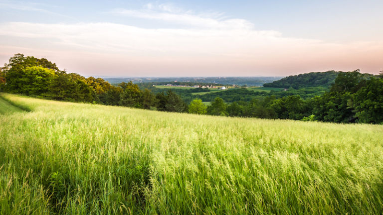 Horseshoe Mound Preserve