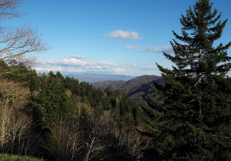 Great Smoky Mountains. Photo by John Paradiso. 