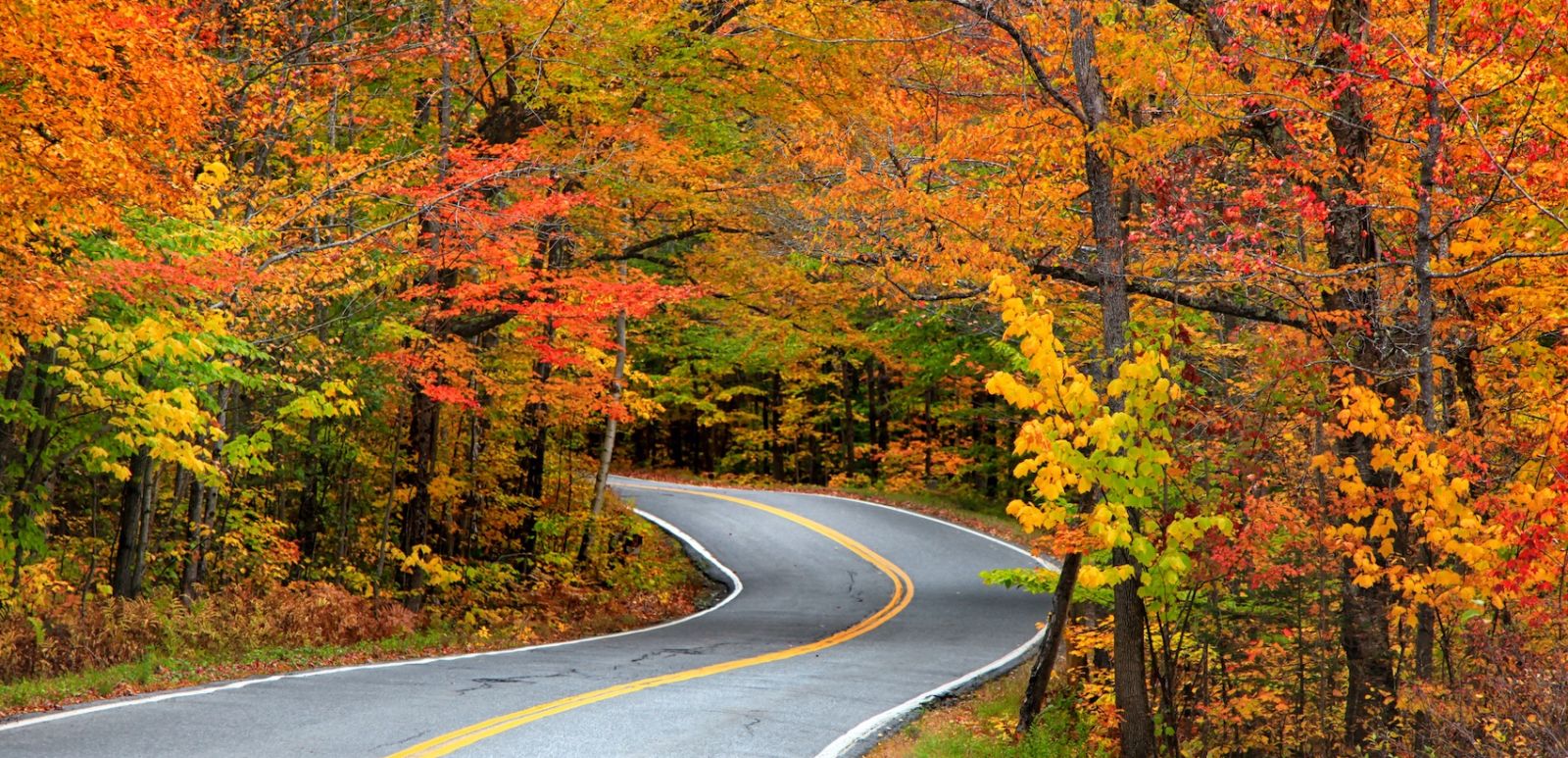 Fall foliage in Vermont