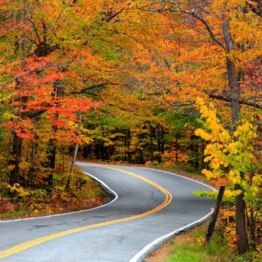 Fall foliage in Vermont