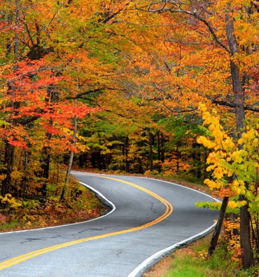 Fall foliage in Vermont