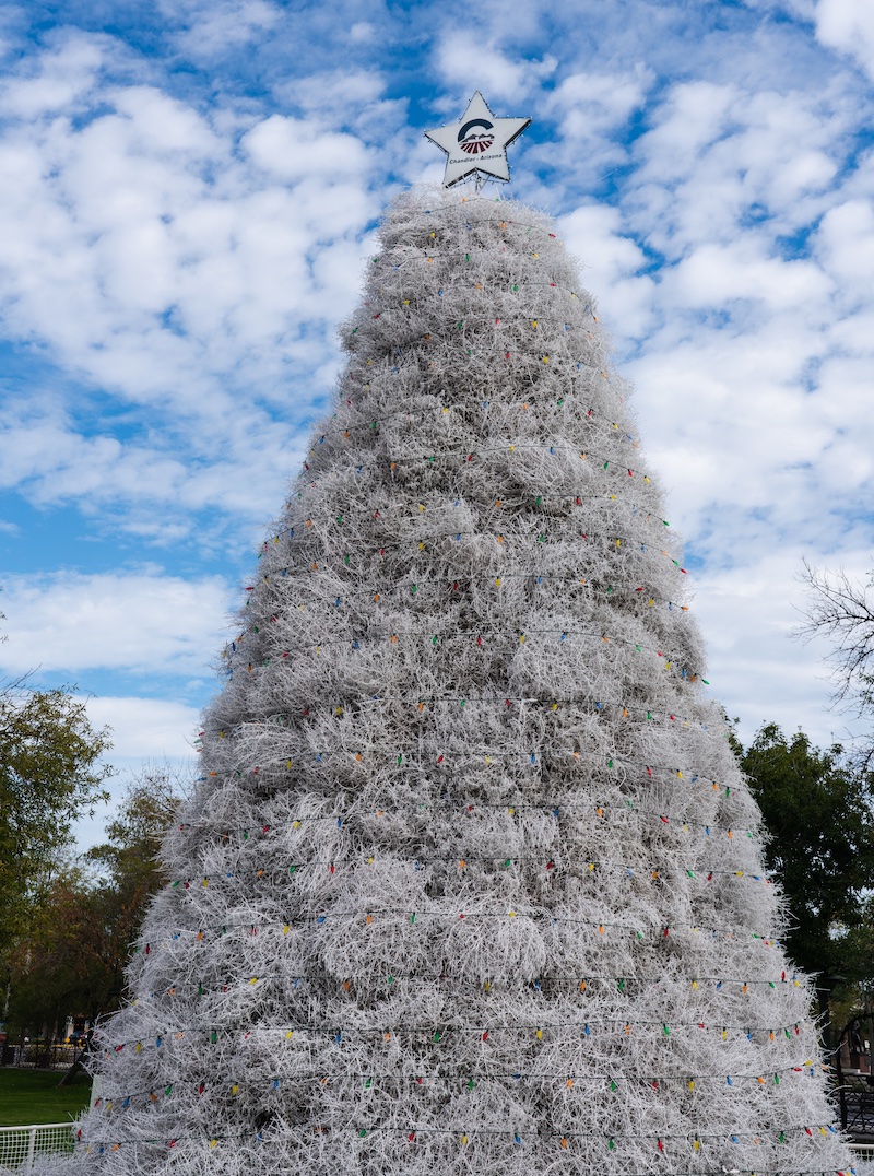 Christmas and Holiday Trees to see