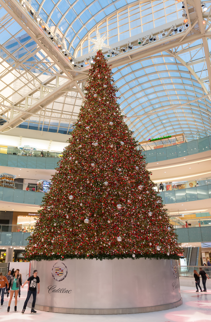 Christmas and Holiday Trees to see