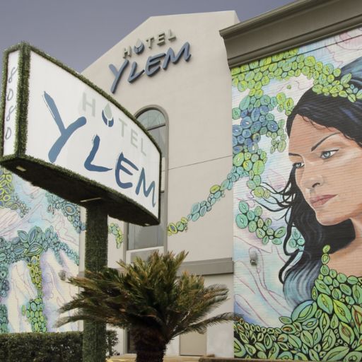 Hotel Ylem