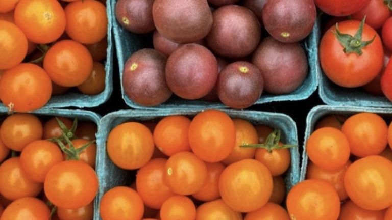 Stowe Farmers’ Market