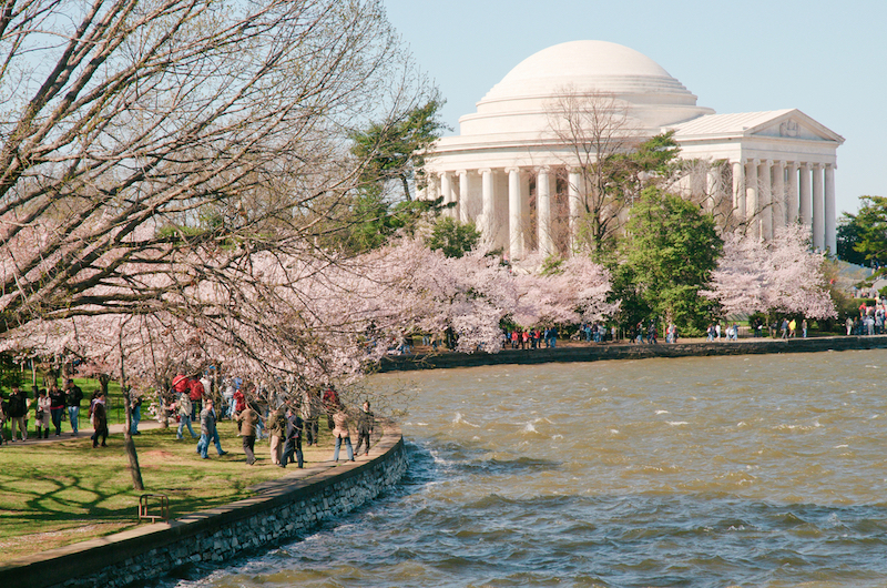 Most Colorful Places in America - National Cherry Blossom Festival – Washington, D.C.