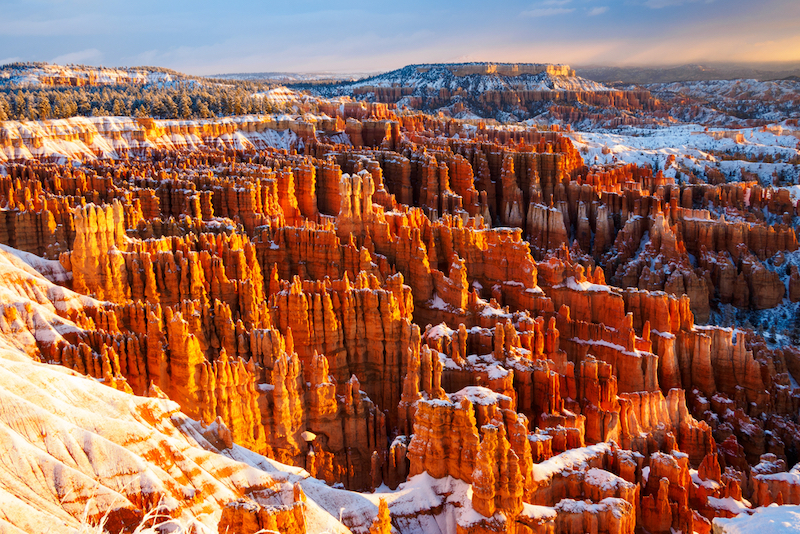 Bryce Canyon National Park, Utah. Photo credit: Shutterstock.