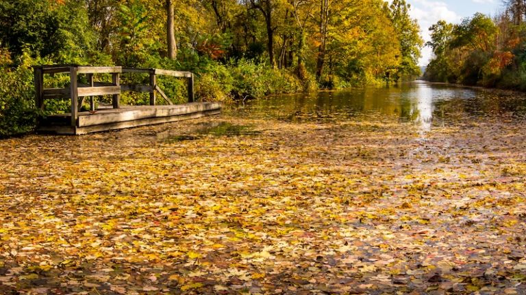 Camillus Erie Canal Park